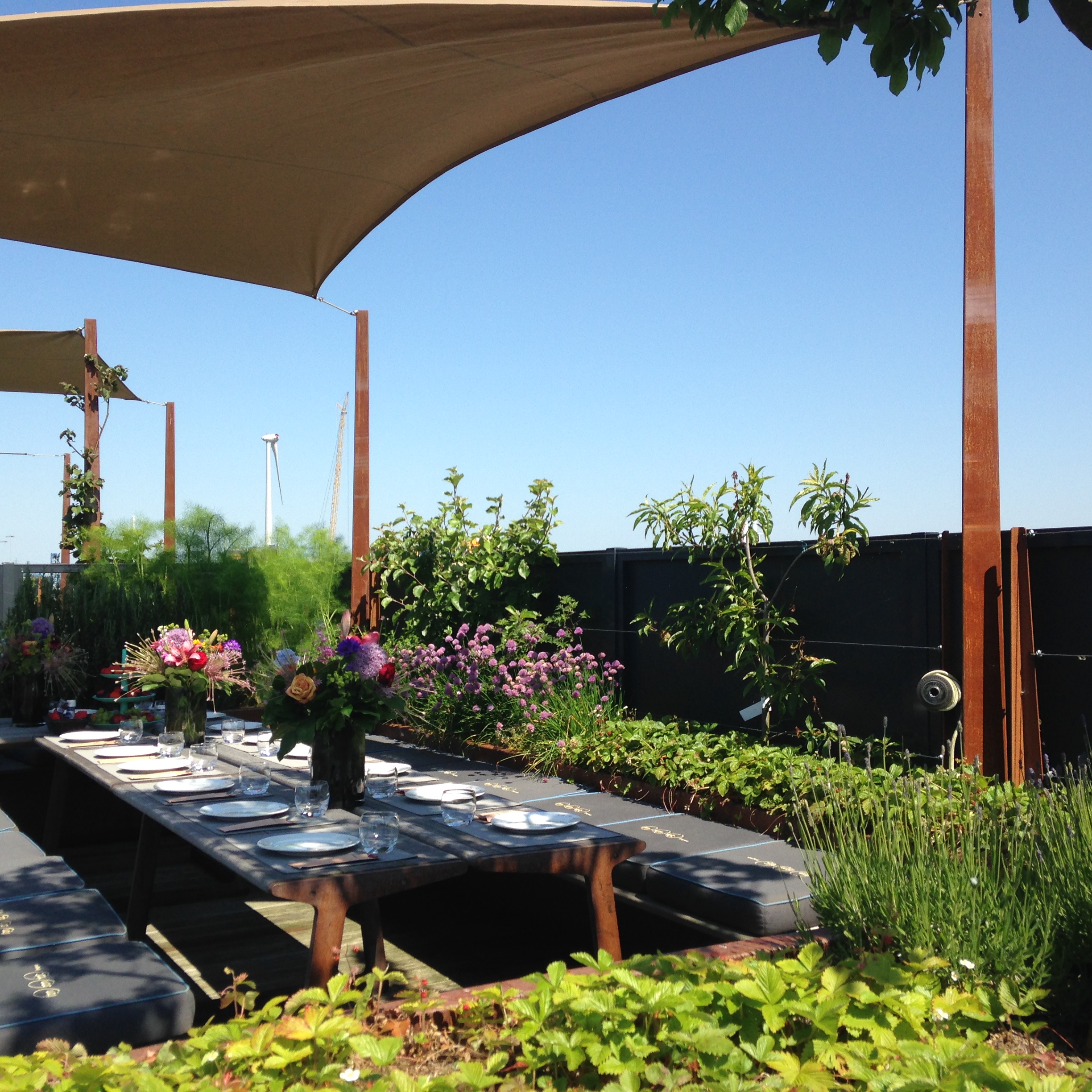Rooftop garden